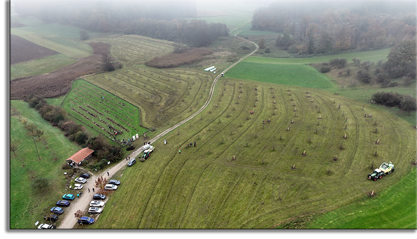 gesamte_Fläche gesamte_Fläche