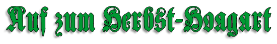schrift_1